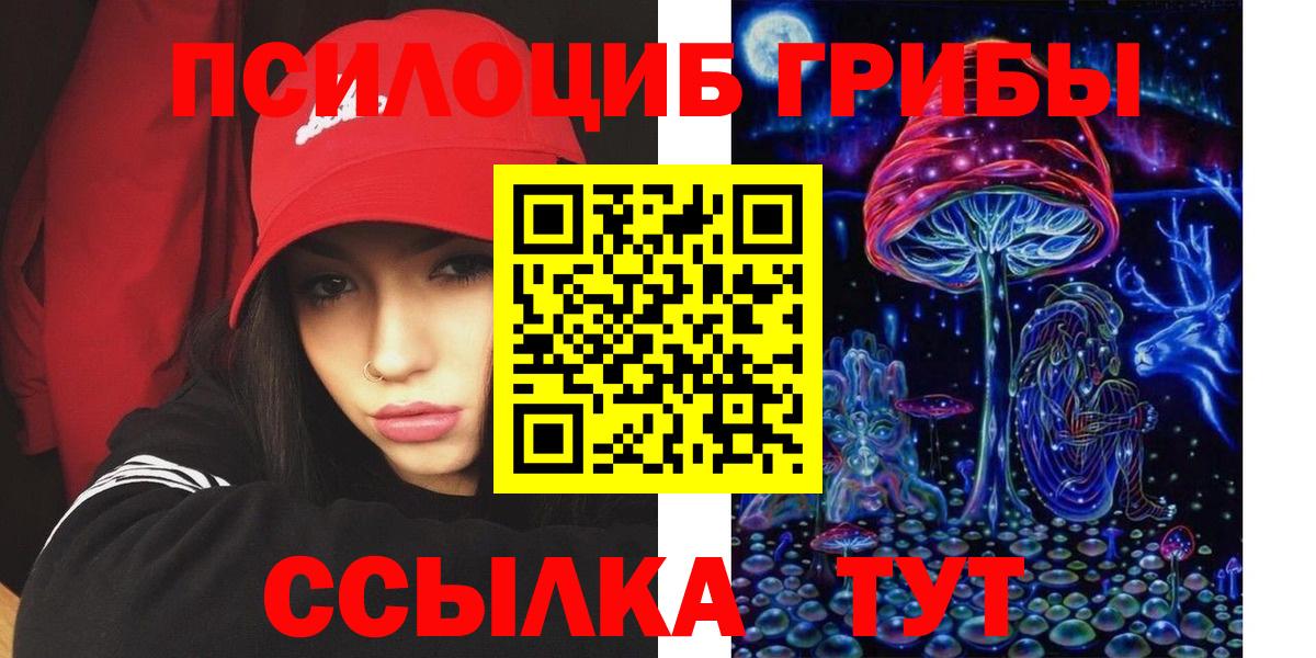 Саянск  Псилоцибиновые грибы Psilocybine cubensis  Вход с VPN 