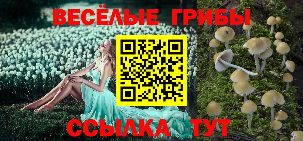 Псилоцибиновые грибы мухоморы Саянск